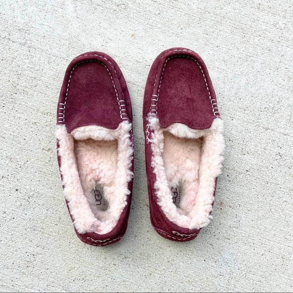 UGG Shoes - Ugg•Maroon Slippers